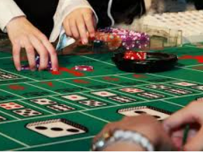 ayx官方app2024最新版